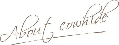 About Leather